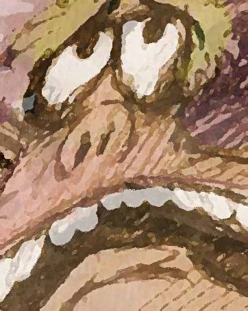 [mercado_rejection3.jpg]