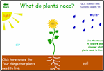 WHAT DO PLANTS NEED?