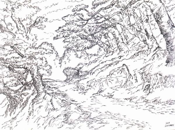 Line Art Forest : The garden of forking paths
