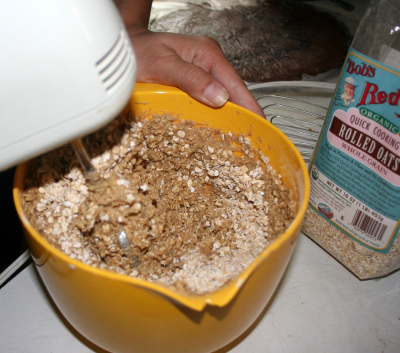gypsy jewels Breast Milk Cookies (?!)