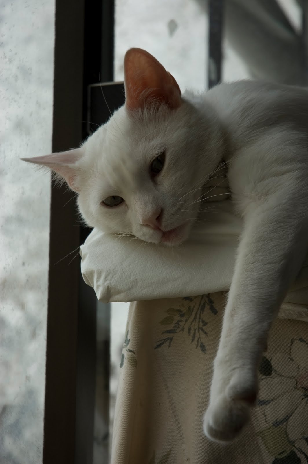 [DSC_0135.jpg]