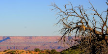 MOAB UTAH