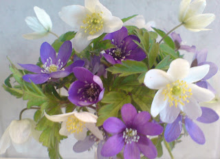 dejta någon på jobbet dikt