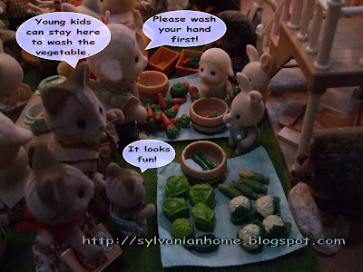 sylvanian families night