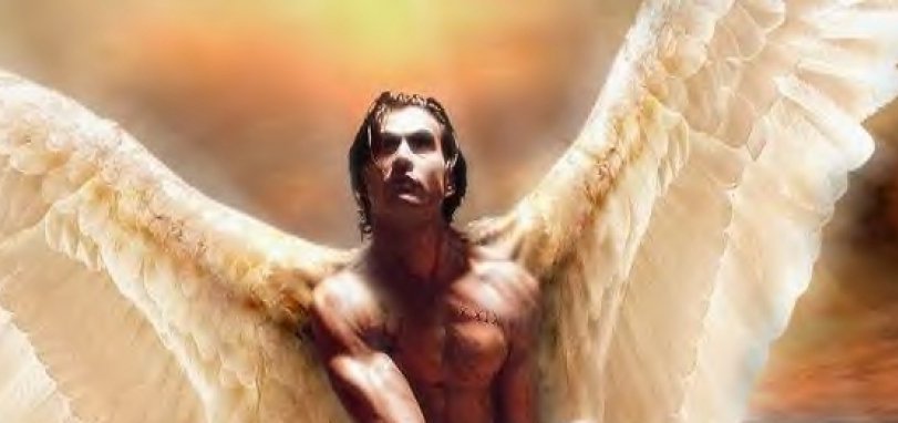 [Copia+di+angel_wallpaper_01.jpg]