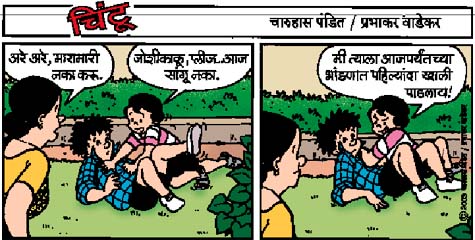 Chintoo comic strip for July 14, 2003