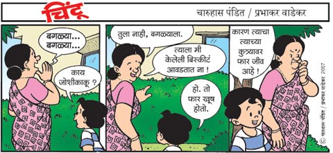 Chintoo comic strip for June 25, 2007