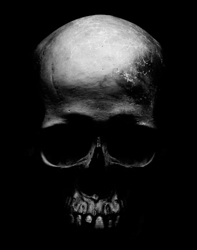 Marilyn Manson Skull