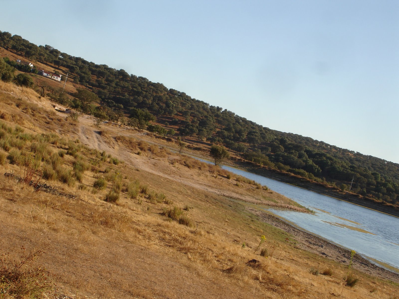 [DSC06431.JPG]