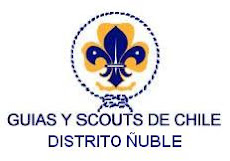 Distrito Ñuble