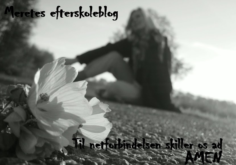 Meretes Efterskoleblog