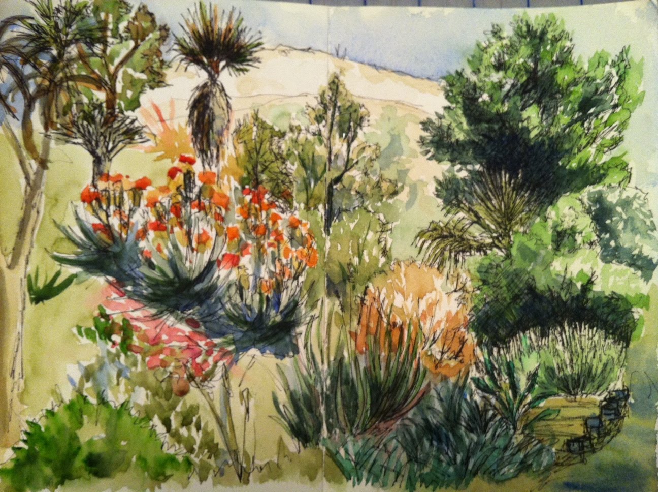 Sketching In Nature Ucr Botanical Gardens