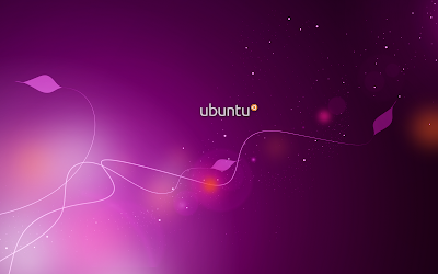 ubuntu lucid