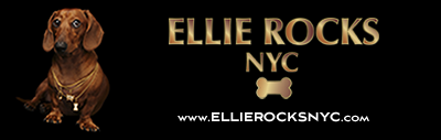 ELLIE ROCKS NYC