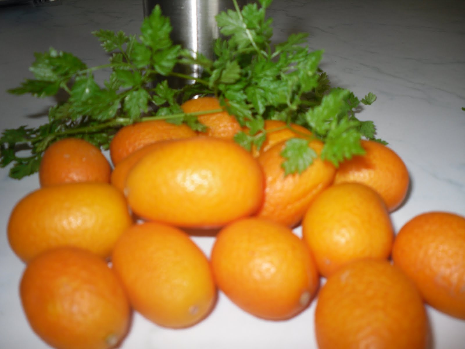 Culinary Adventures in Europe WHAT TO DO WITH A KUMQUAT