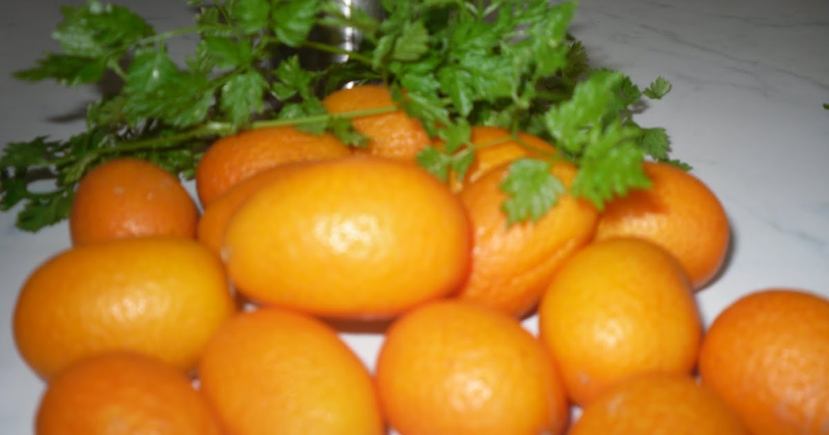 Culinary Adventures in Europe WHAT TO DO WITH A KUMQUAT