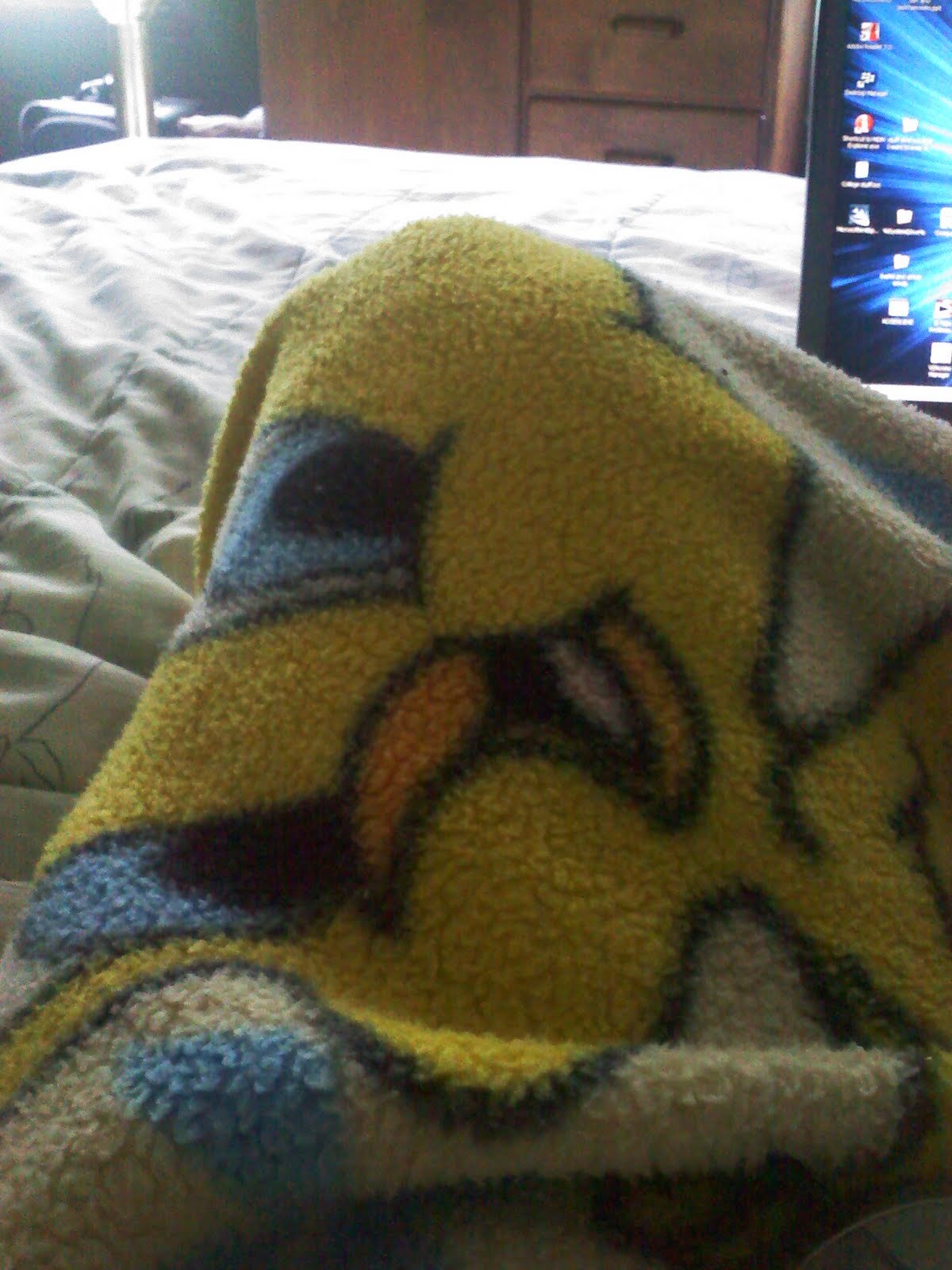 Tweety Blanket