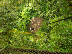 Rappel during Extremo Canopy Tour, Monteverde, Costa Rica