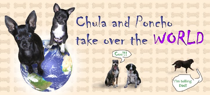 Chula and Poncho Take Over the World