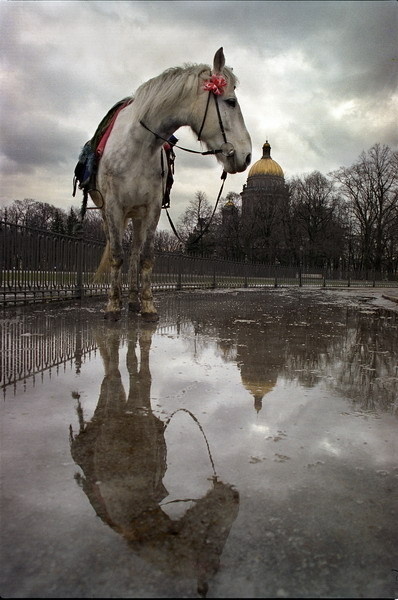 [28_aleksandr-petrosyan..jpg]