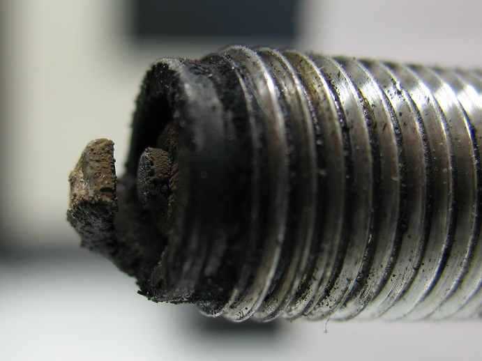 [IMG_8170_crop.PNG]