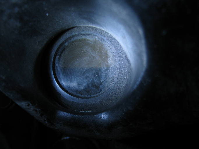 [IMG_9485_crops.PNG]