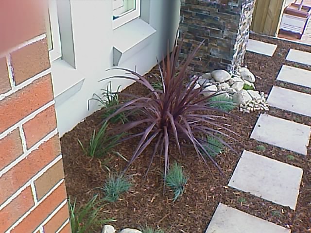 landscaping ideas for front yard. front yard landscaping ideas