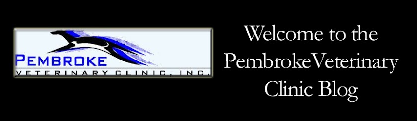 Pembroke Veterinary Clinic