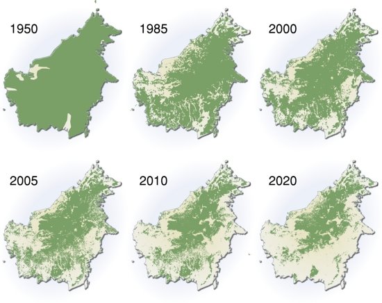 [extent-of-deforestation-in-borneo-1950-2005-and-projection-towards-2020.jpg]