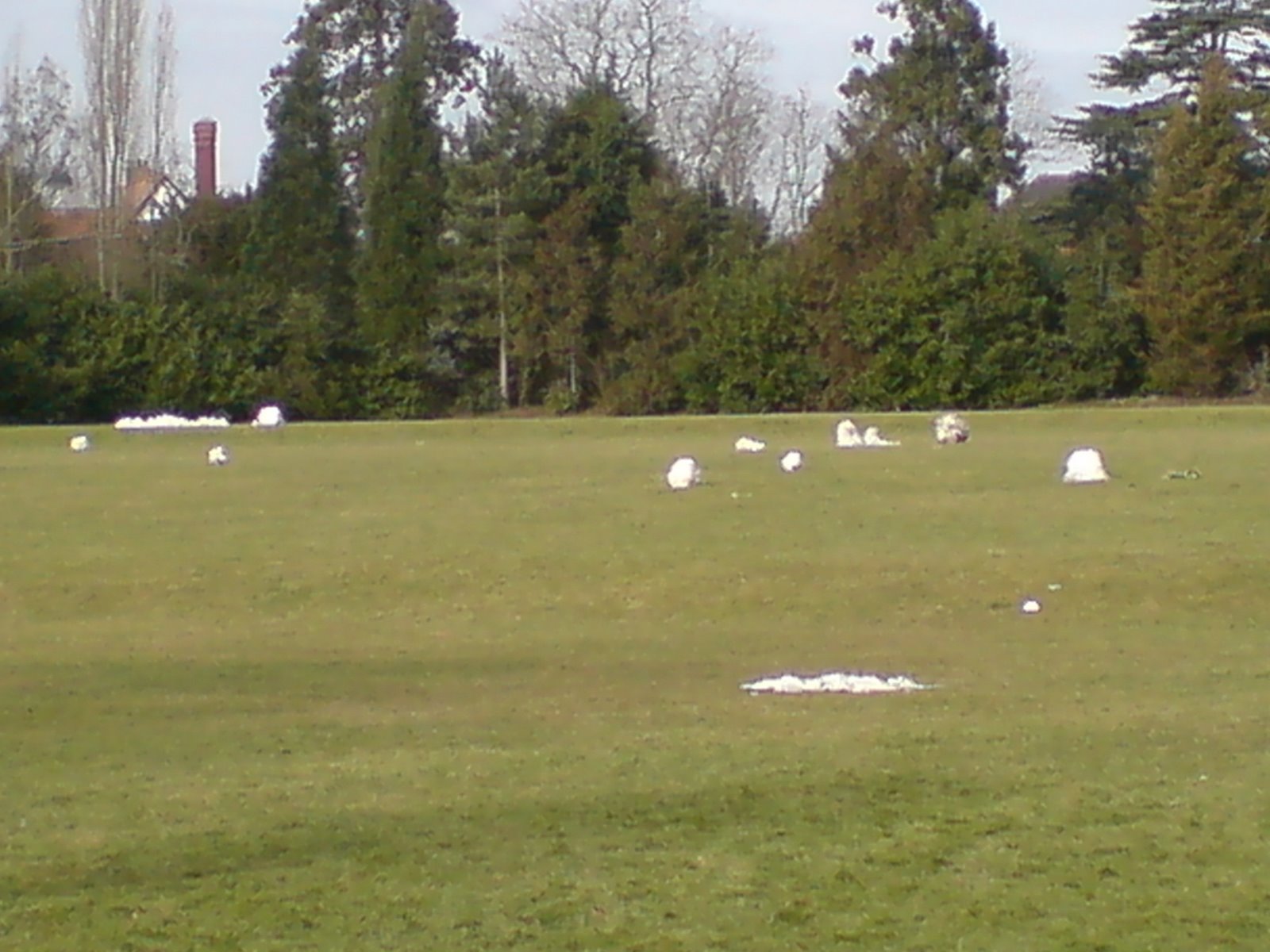 [DSC00016.JPG]