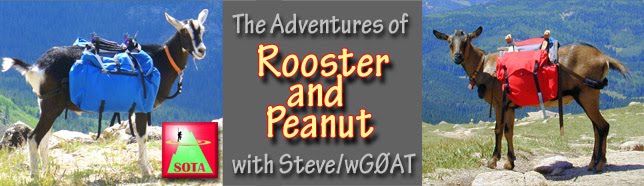 Peanut & Rooster Adventures