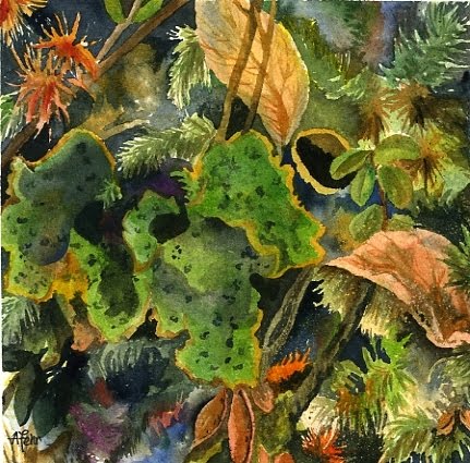 [green+fungus+moss007.jpg]