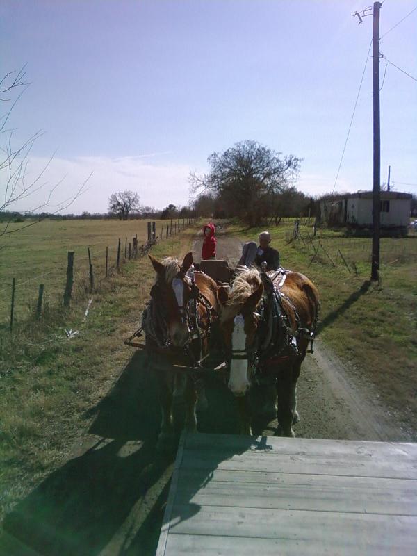 Used forecarts for sale >> pioneer forecarts ga >> forecart plans