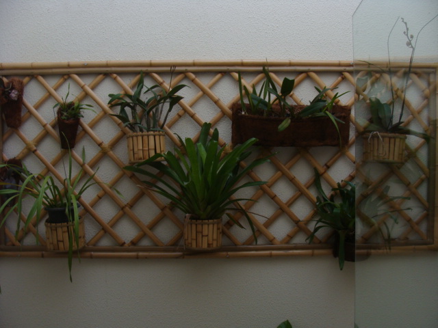 trelica bambu jardim:Bambu & Cia trelica bambu jardim:Bambu & Cia