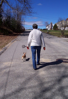 Woman walking chihuahua on sunny street up a hill