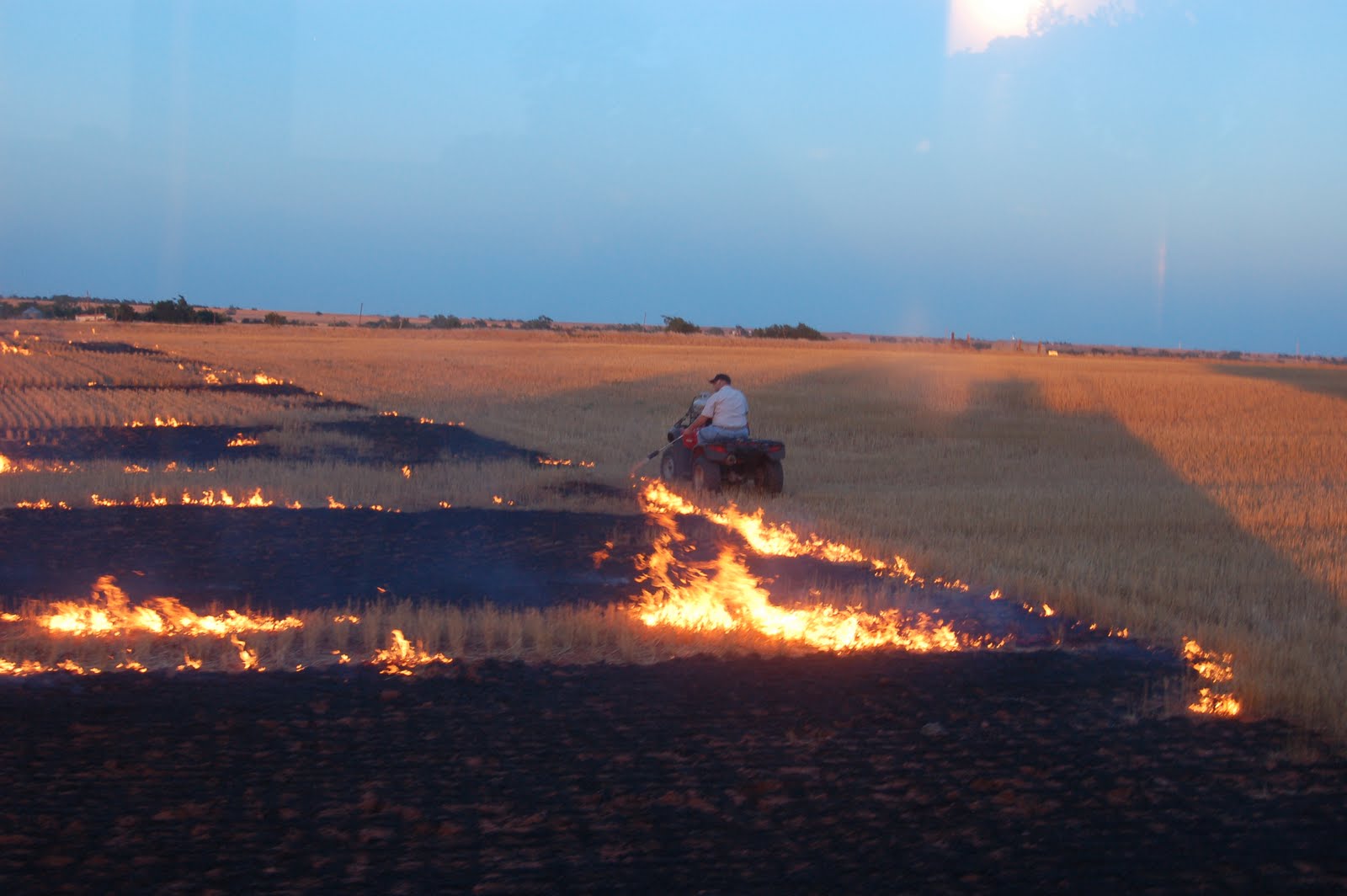 The Farmer's Wife Burning Wheat Stubble
