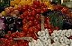 London's wonderful Borough market