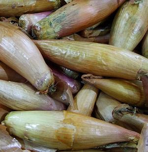 Indian Shallots