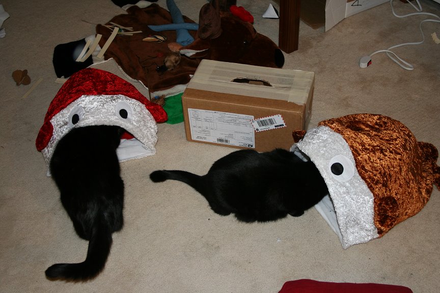 [Xmas+08+(7).bmp]