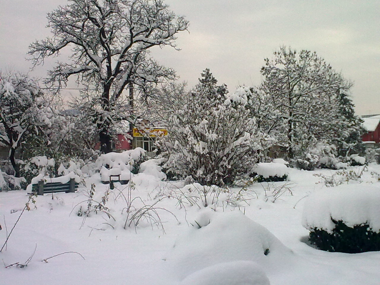 [Image0609.jpg]