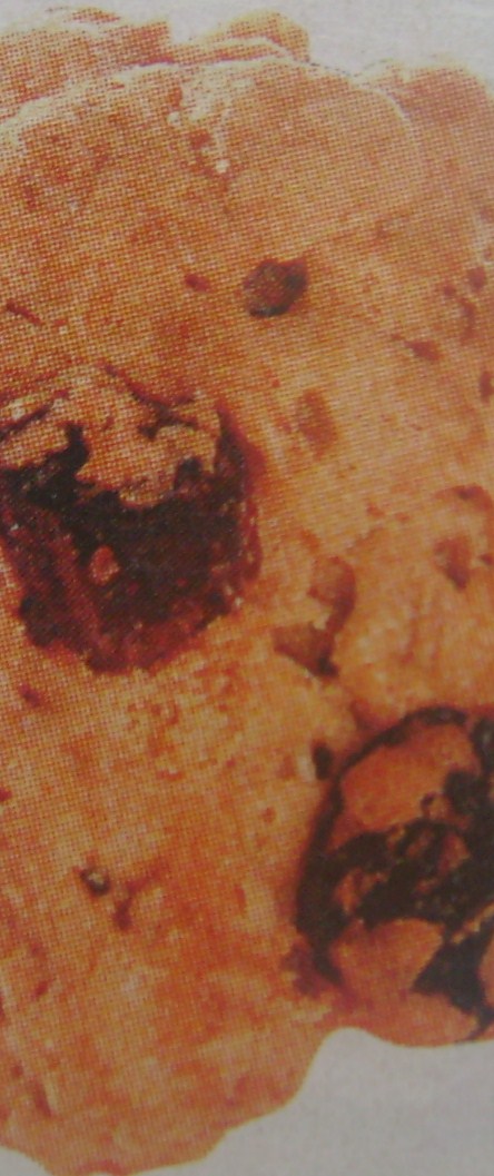 [fotky+na+blog1+001.JPG]