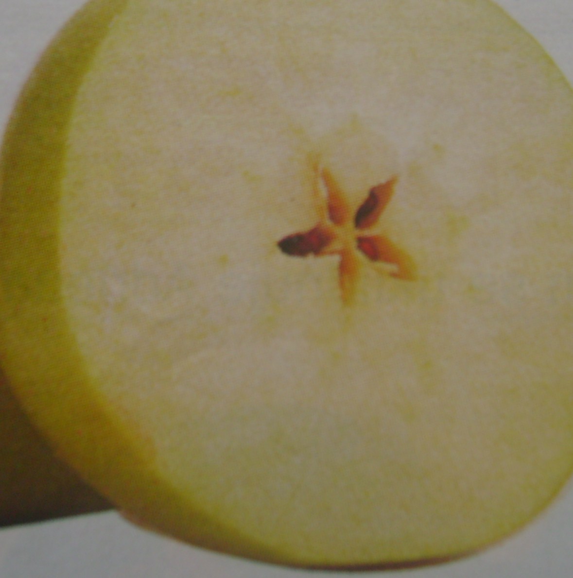 [fotky+na+blog1+003.JPG]