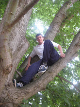 John up the Linden tree