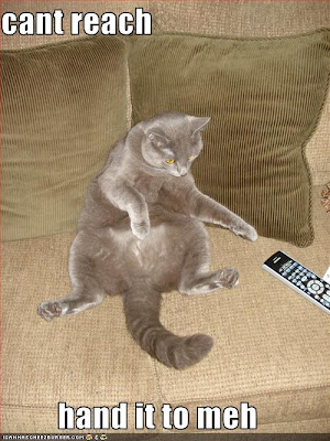 funny-pictures-cat-cannot-reach-remote.jpg