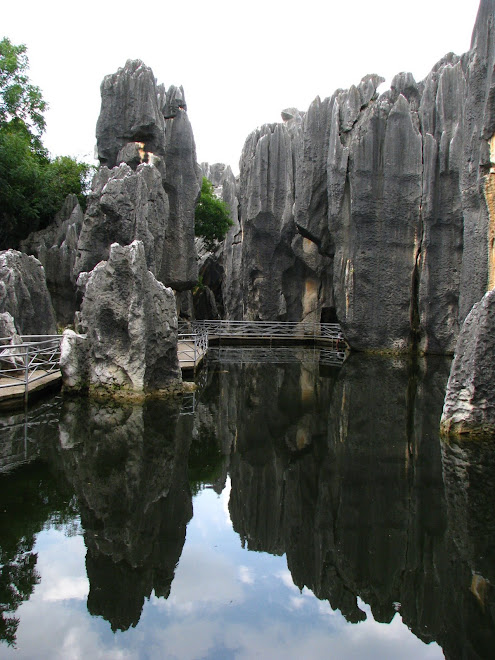 skalny las ( Stone Forest) w Shilin