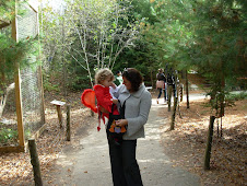Boo at the Zoo
