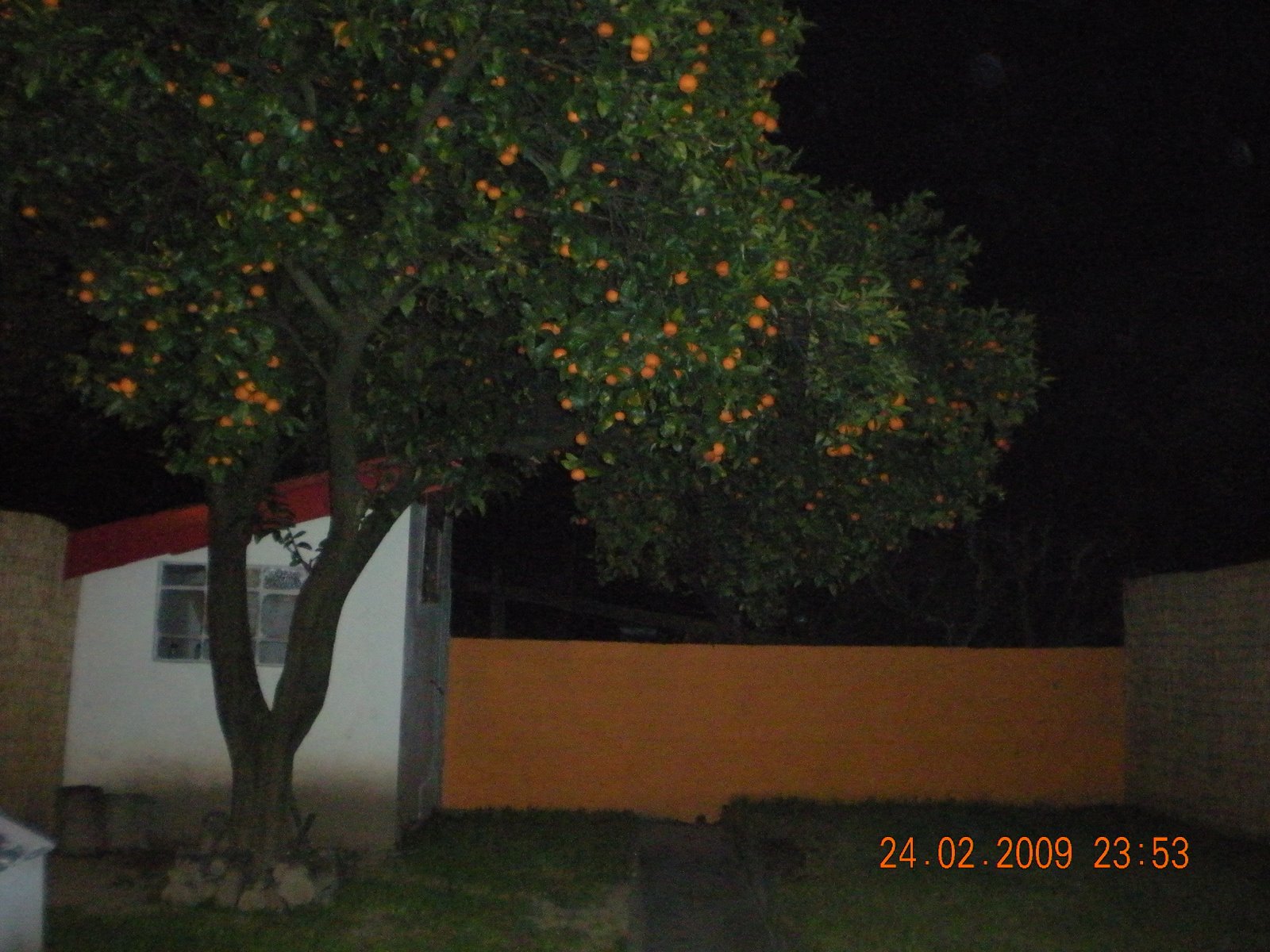 [DSCN0350.JPG]