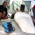 TELEFÓNICA BLUE LEG NINE DAY 4