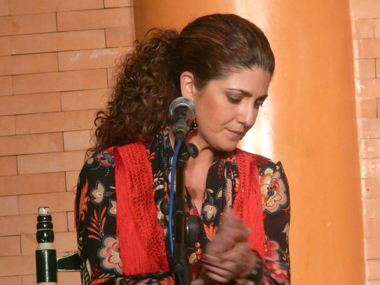 SUCINA FLAMENCA Alicia Gil Cantaora
