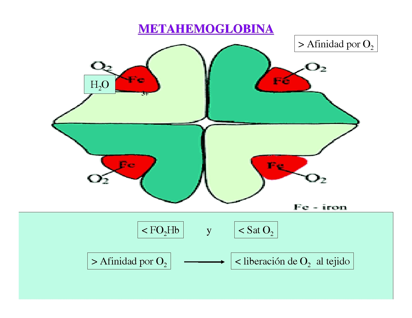 Metahemoglobina; Ferrihemoglobina